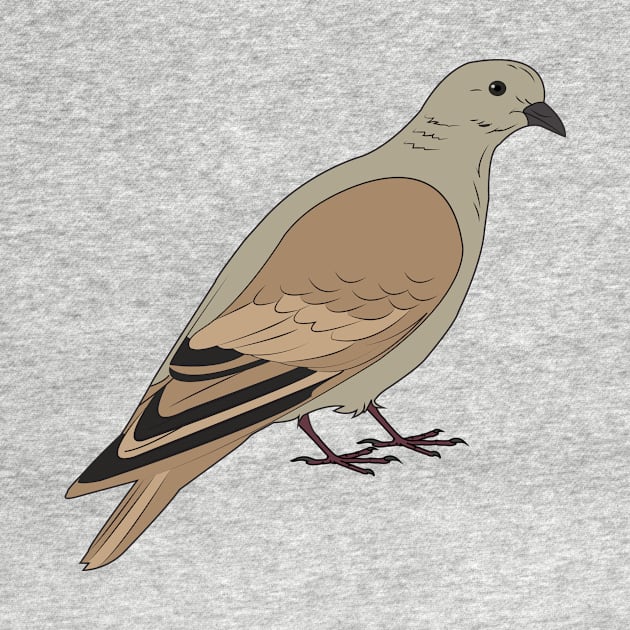 Mourning Dove by AndyMcBird